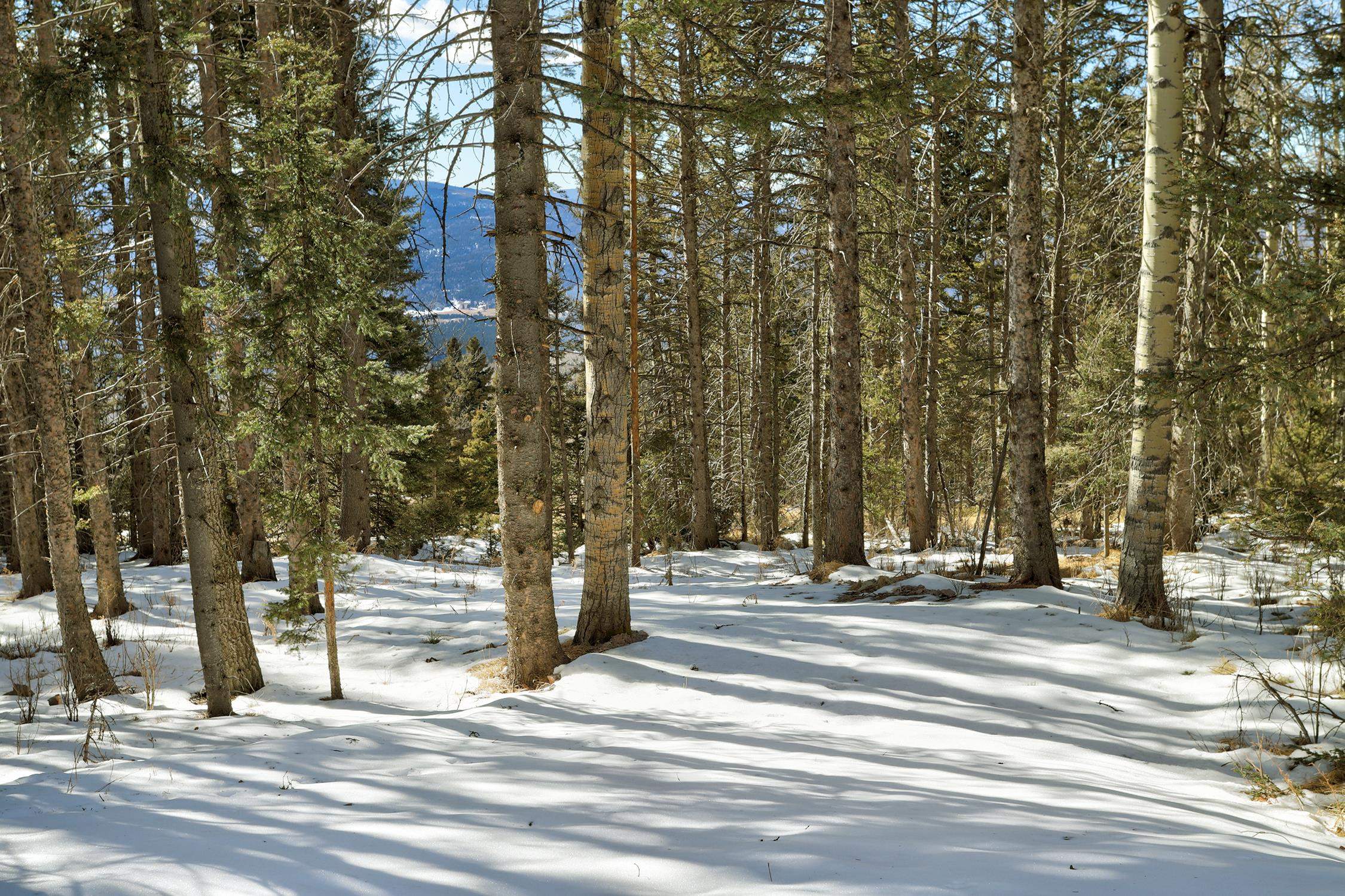 Lot 1263 Starlight Overlook, Angel Fire, New Mexico image 10