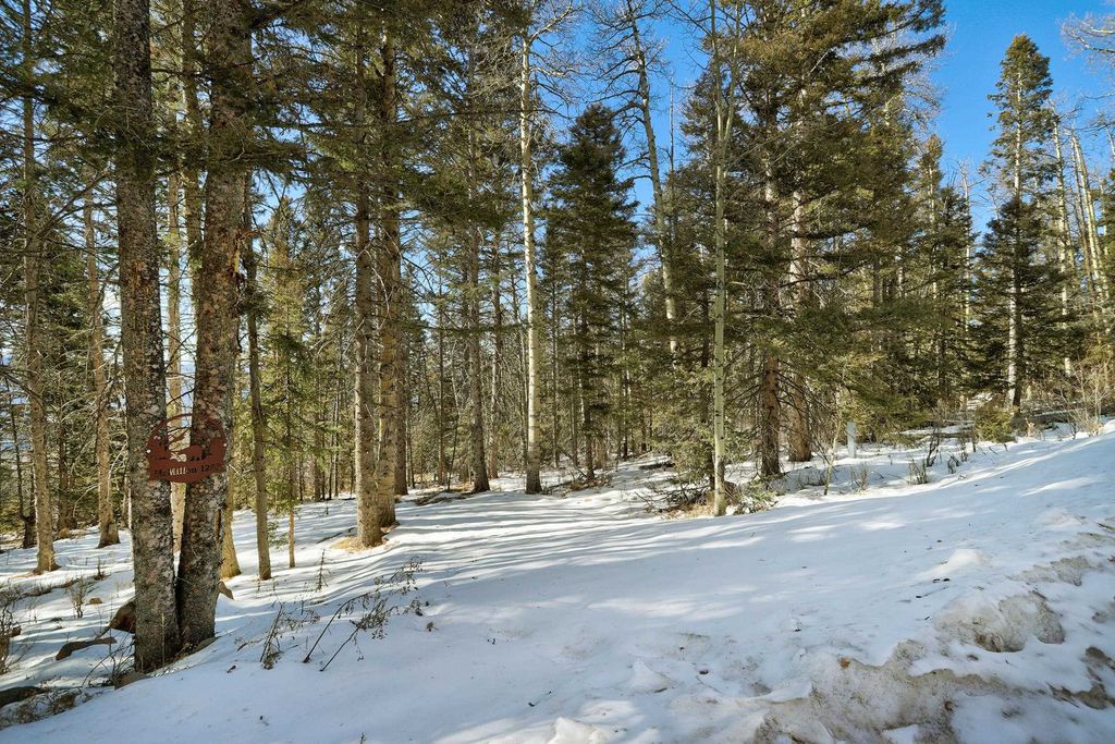 Photo of lot 1263 Starlight Overlook, Angel Fire, NM 87710 (MLS # 112648)