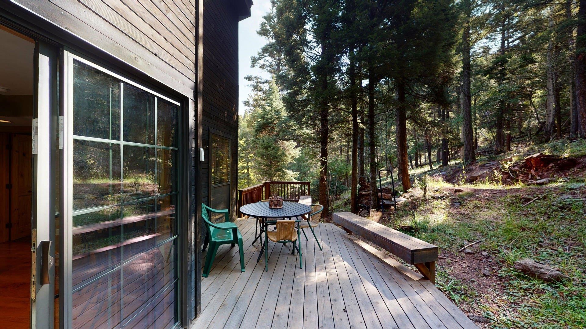241 El Camino Real, Angel Fire, New Mexico image 13