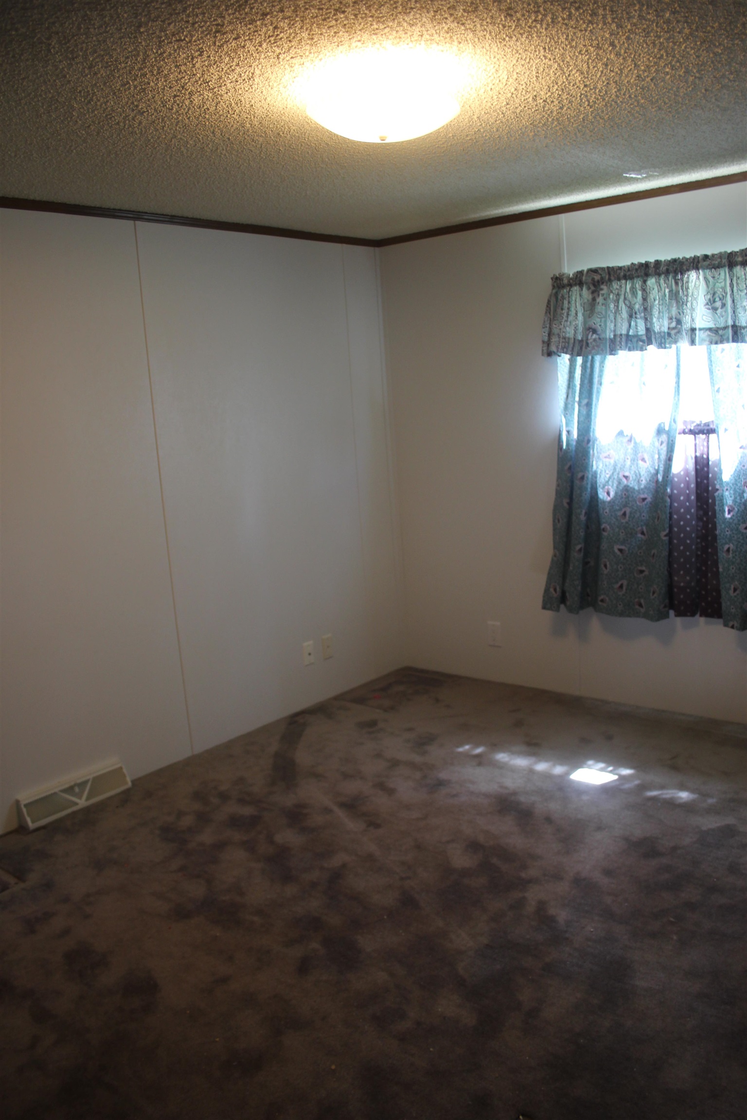 476 Lake Ave, Eagle Nest, Texas image 3