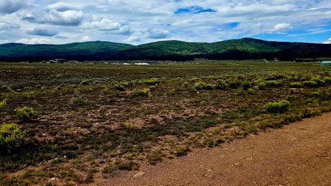 Vacant Land For Sale - LOT 178 Camino Grande<br/> Angel Fire, NM 87710