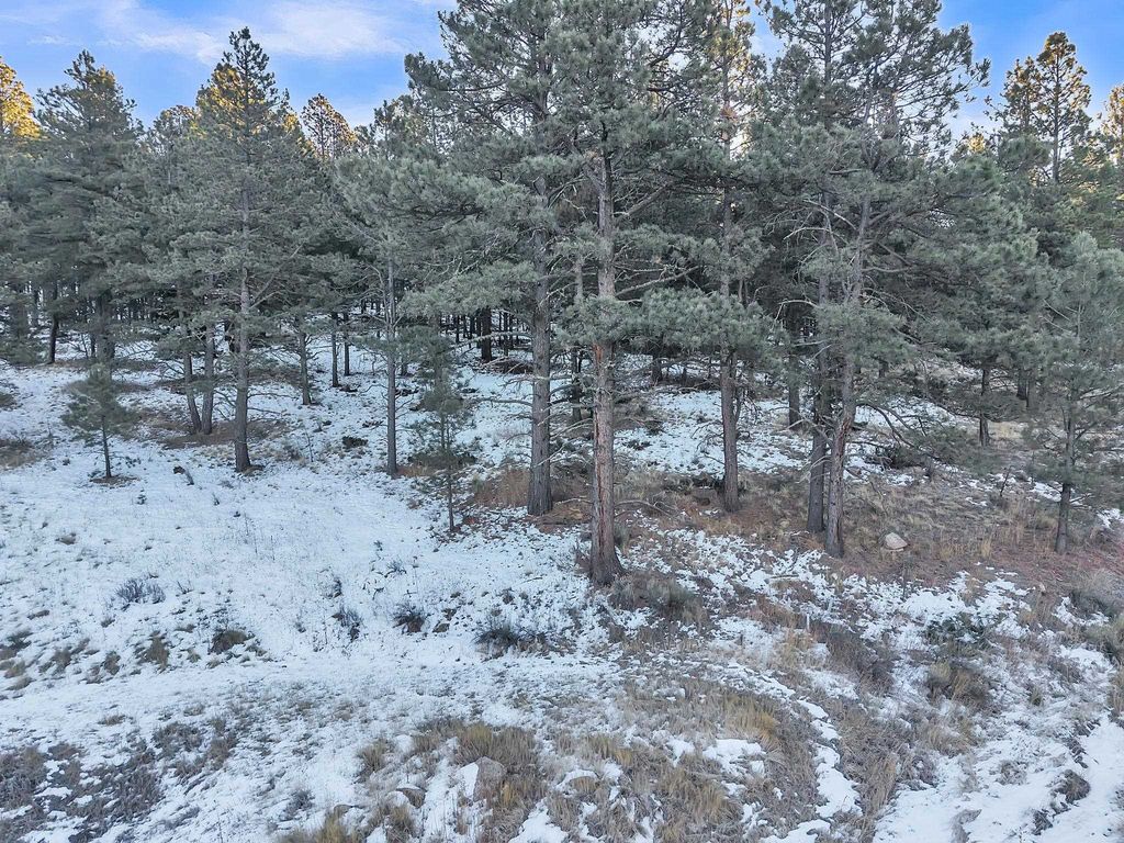 Photo of Lot 39 Valley Road, Angel Fire, NM 87710 (MLS # 114481)