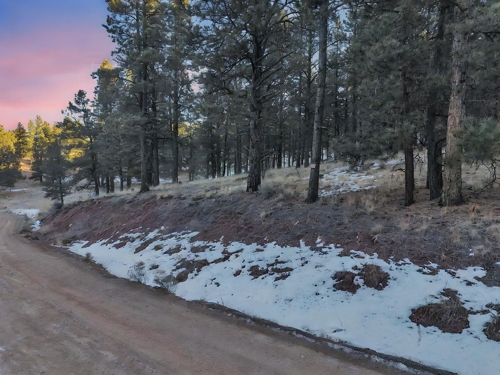 Photo of Lot 39 Valley Road, Angel Fire, NM 87710 (MLS # 114481)