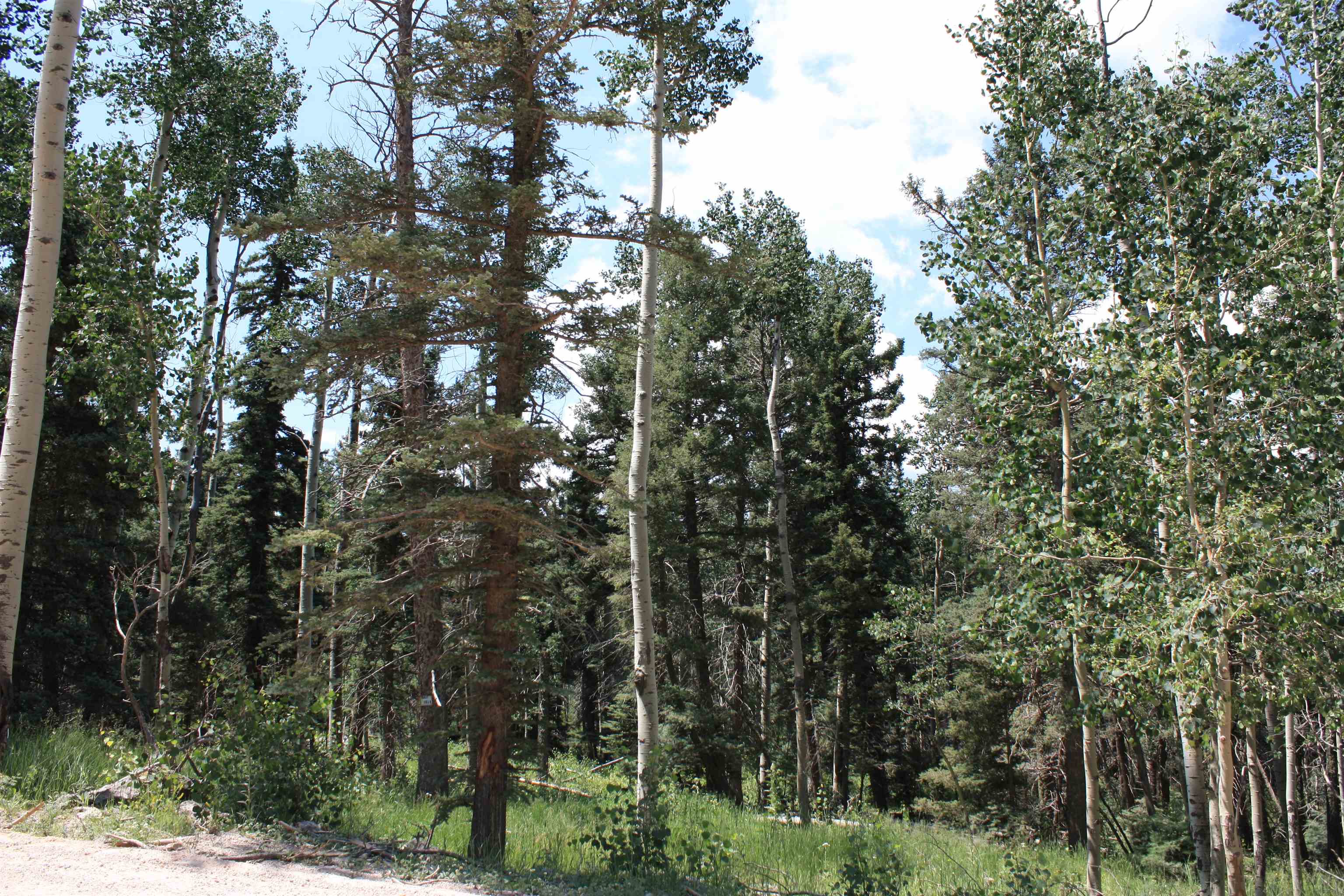 Angel Fire, New Mexico 87710, United States, ,Land,Active,170658