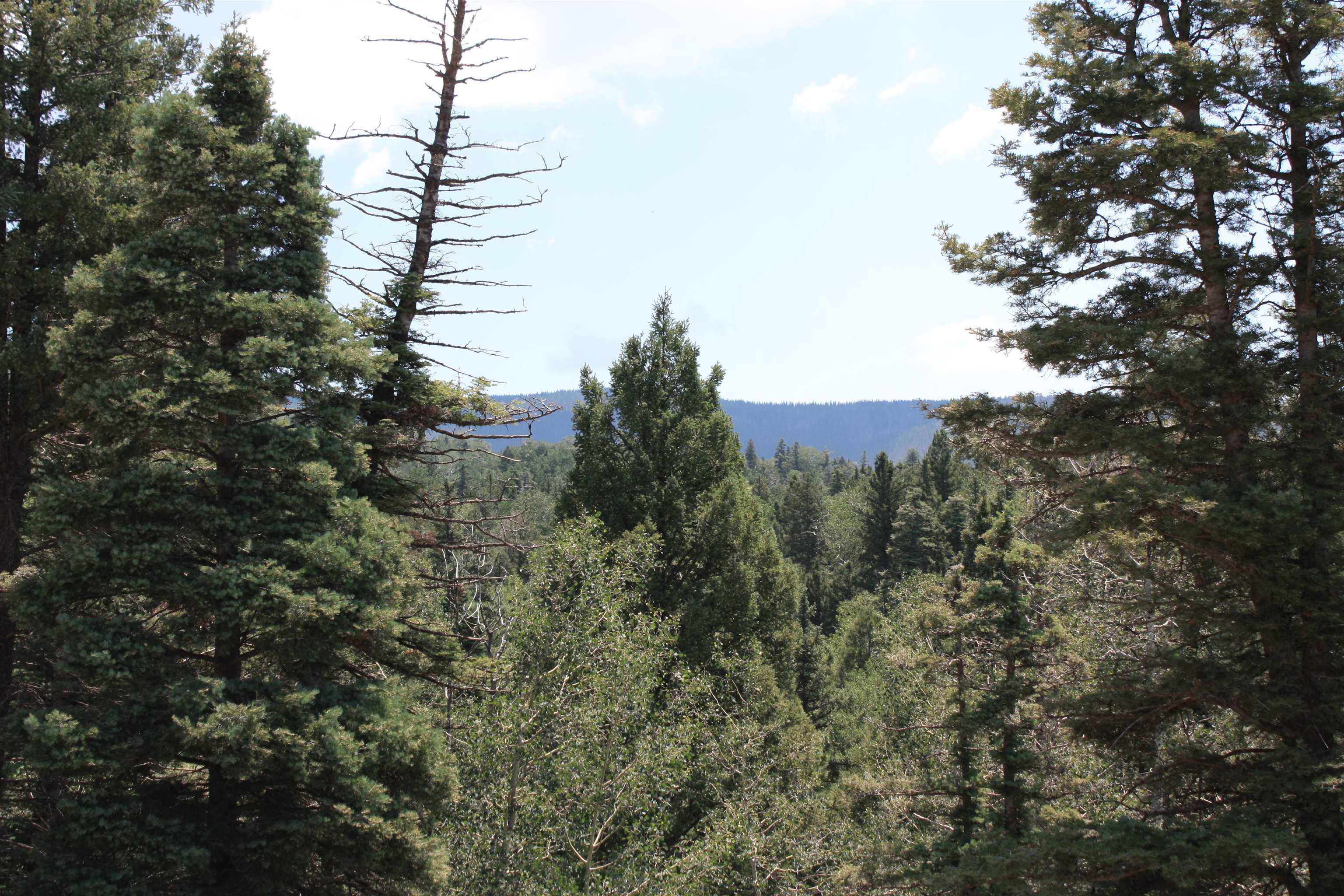 Angel Fire, New Mexico 87710, United States, ,Land,Active,170658