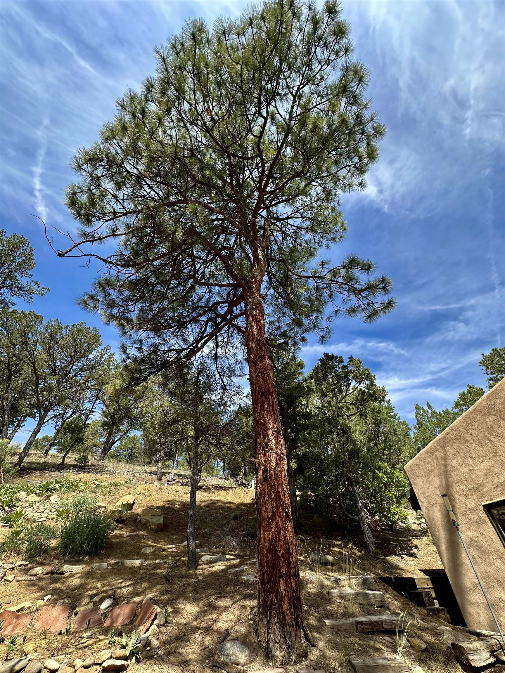 10 Lavender Rd, Ranchos de Taos, New Mexico image 30