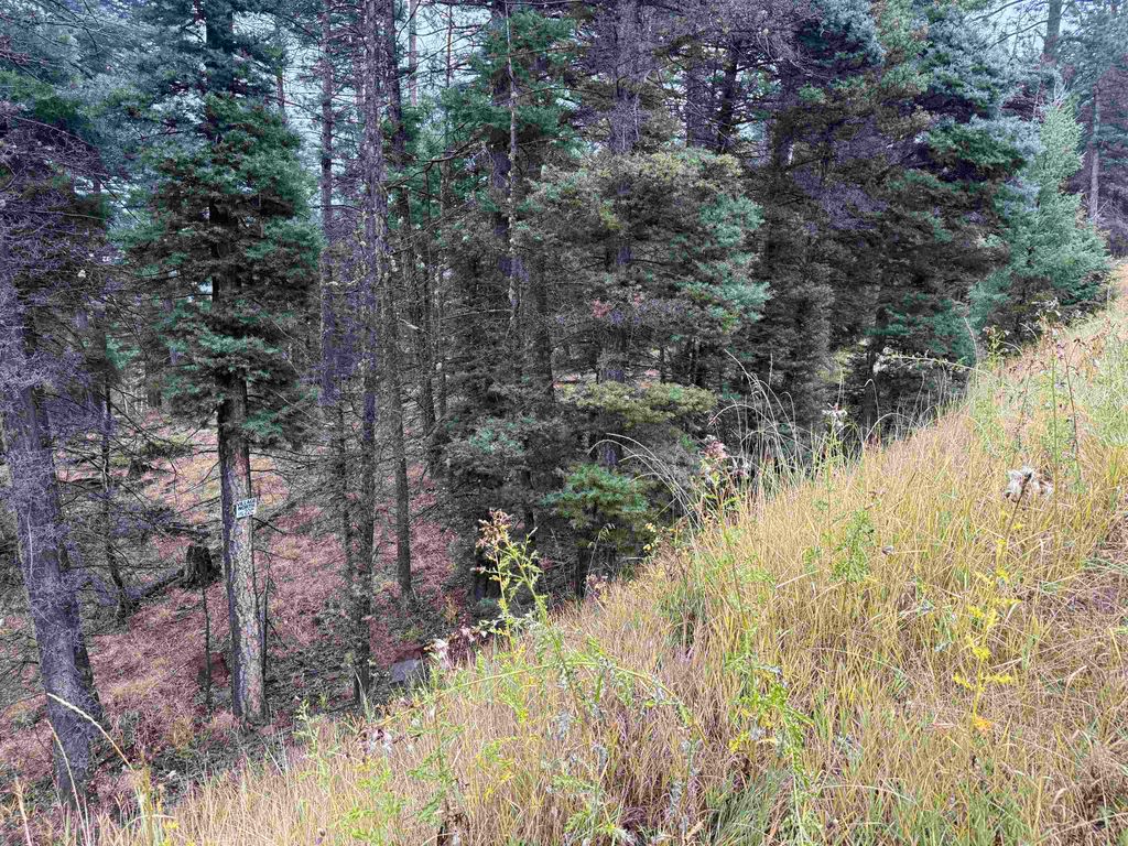 Photo of Lot 220 Peak Pl, Angel Fire, NM 87710 (MLS # 114256)