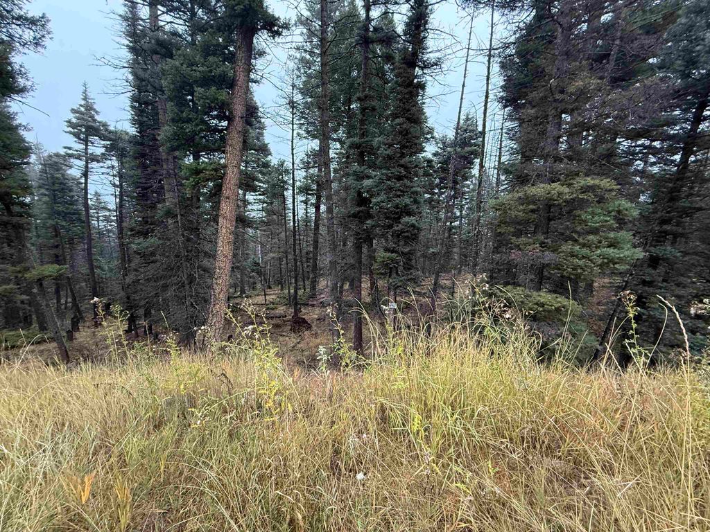 Photo of Lot 220 Peak Pl, Angel Fire, NM 87710 (MLS # 114256)