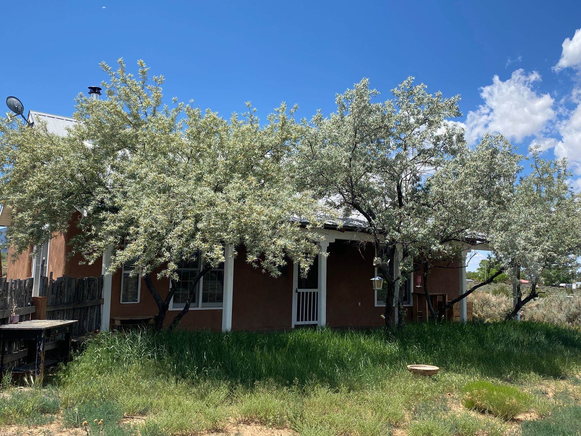 1227 Estrella Rd, Taos, New Mexico image 1