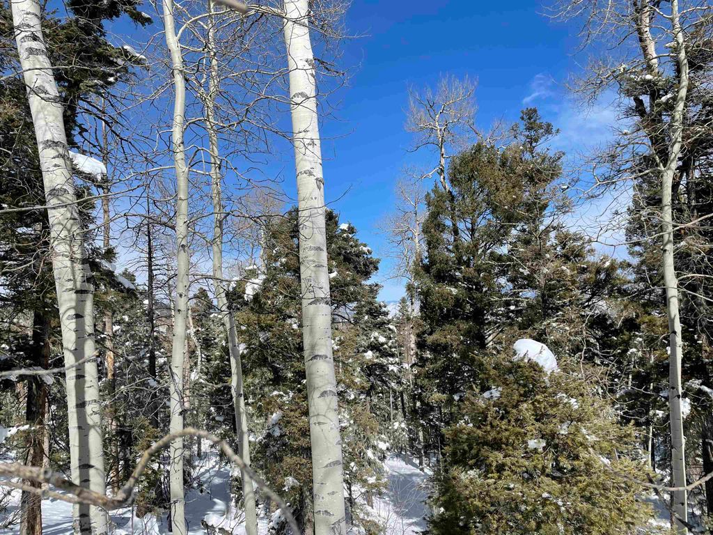 Photo of Lot 328 Rio Arriba Drive, Angel Fire, NM 87710 (MLS # 109873)