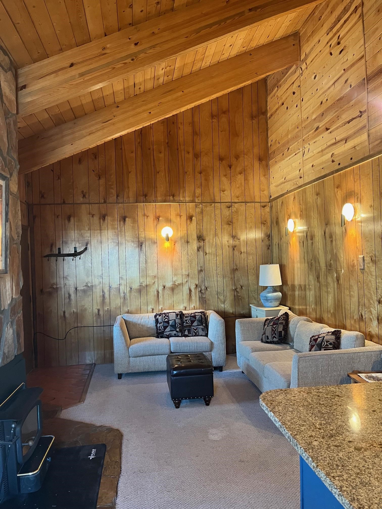 44 Mammoth Mountain Rd #18, Angel Fire, New Mexico image 9