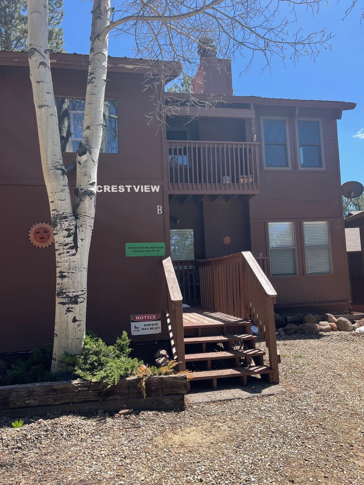 44 Mammoth Mountain Rd #18, Angel Fire, New Mexico image 1