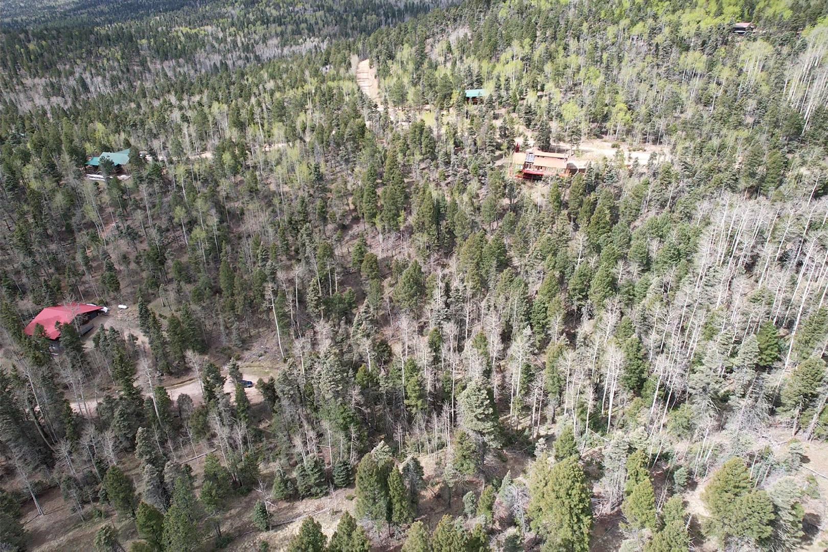 TBD Apache Circle, Angel Fire, New Mexico image 10