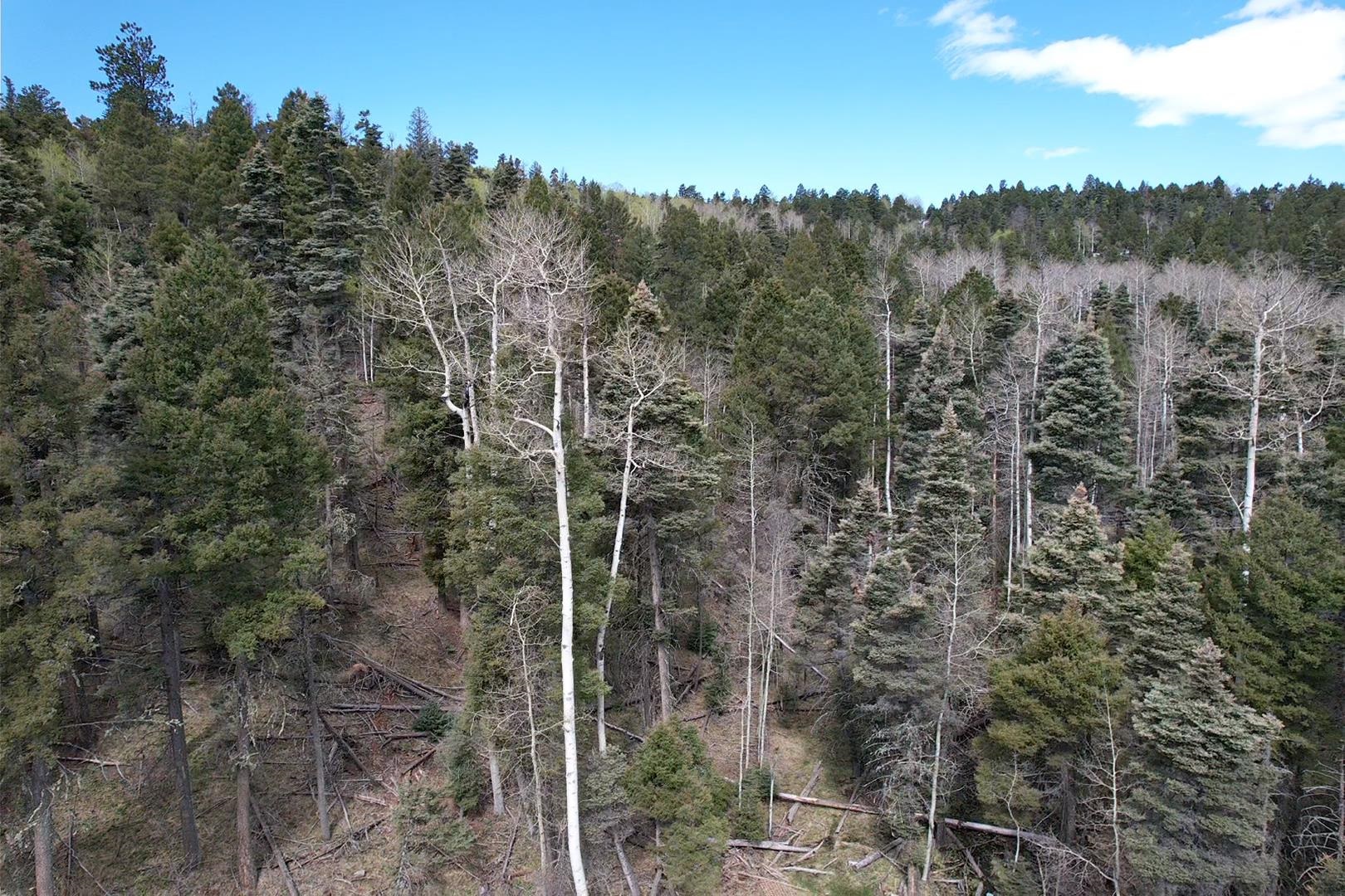 TBD Apache Circle, Angel Fire, New Mexico image 6
