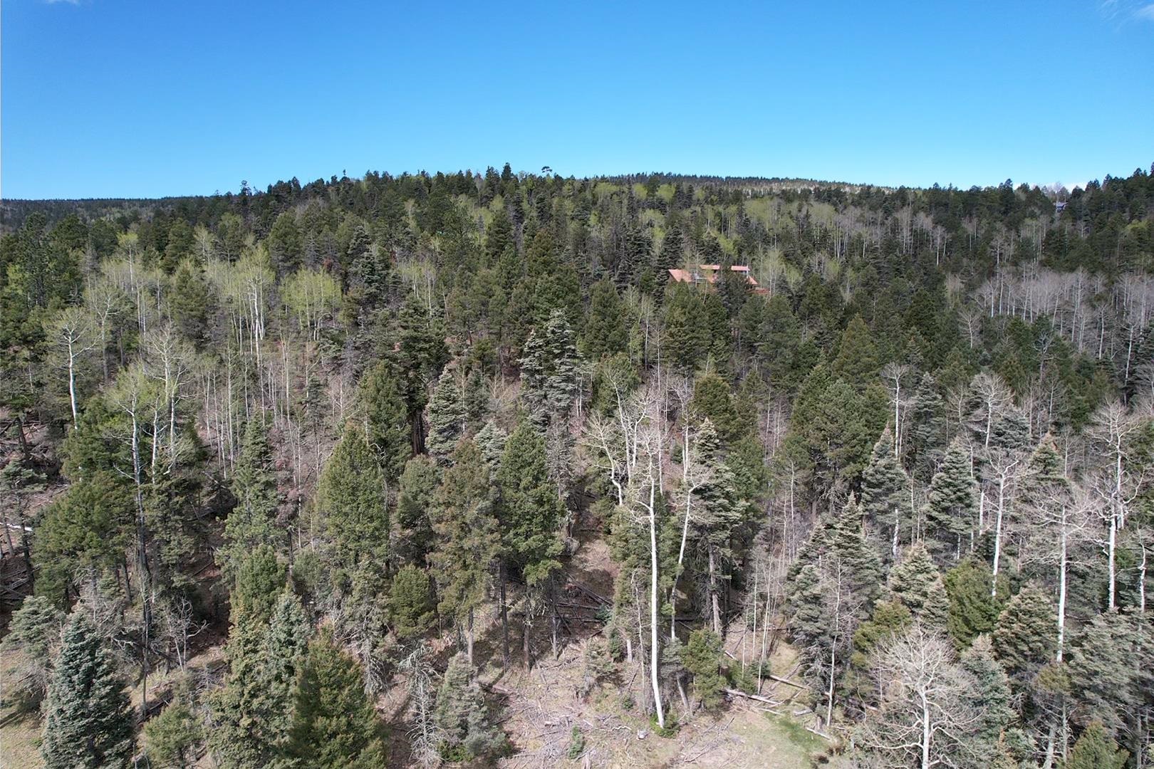 TBD Apache Circle, Angel Fire, New Mexico image 2