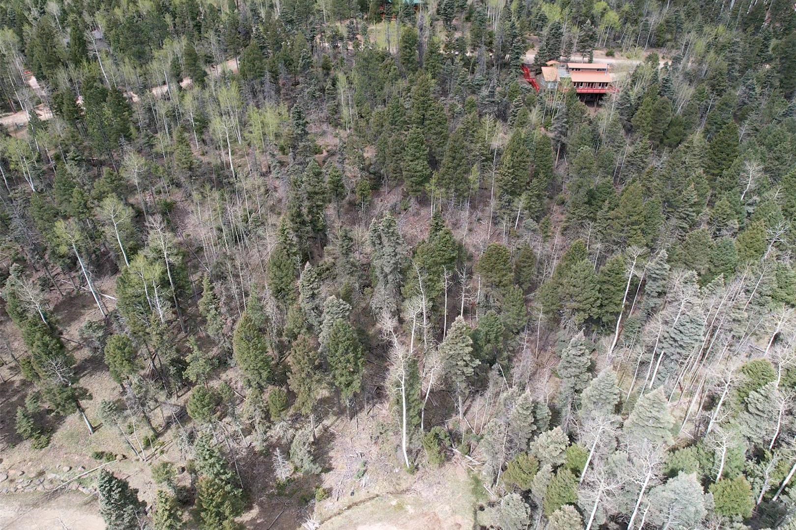 TBD Apache Circle, Angel Fire, New Mexico image 7