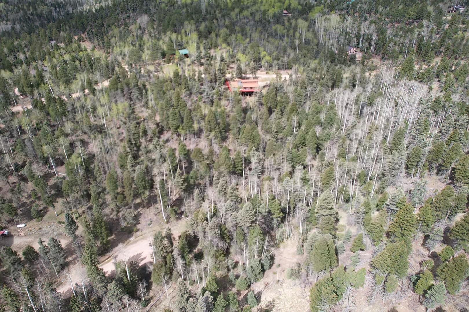 TBD Apache Circle, Angel Fire, New Mexico image 9
