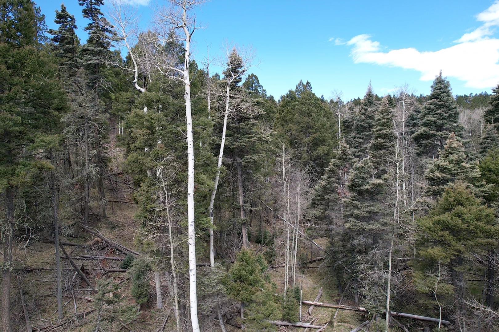TBD Apache Circle, Angel Fire, New Mexico image 5