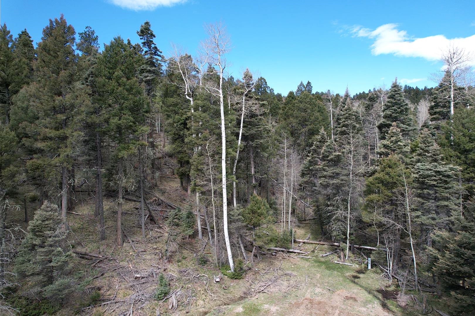 TBD Apache Circle, Angel Fire, New Mexico image 1
