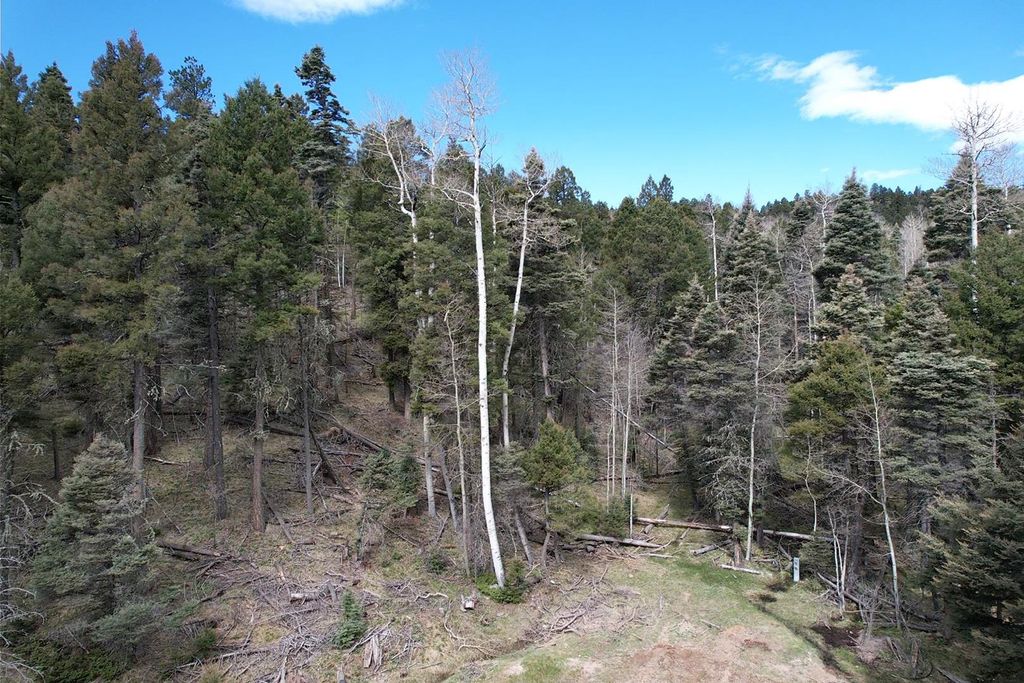 Photo of TBD Apache Circle, Angel Fire, NM 87710 (MLS # 113356)