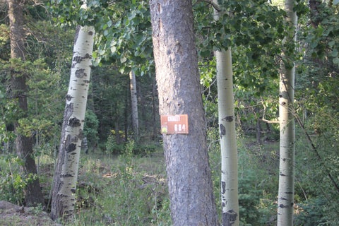 Vacant Land For Sale - LOY 684 El Camino Real<br/> Angel Fire, NM 87710