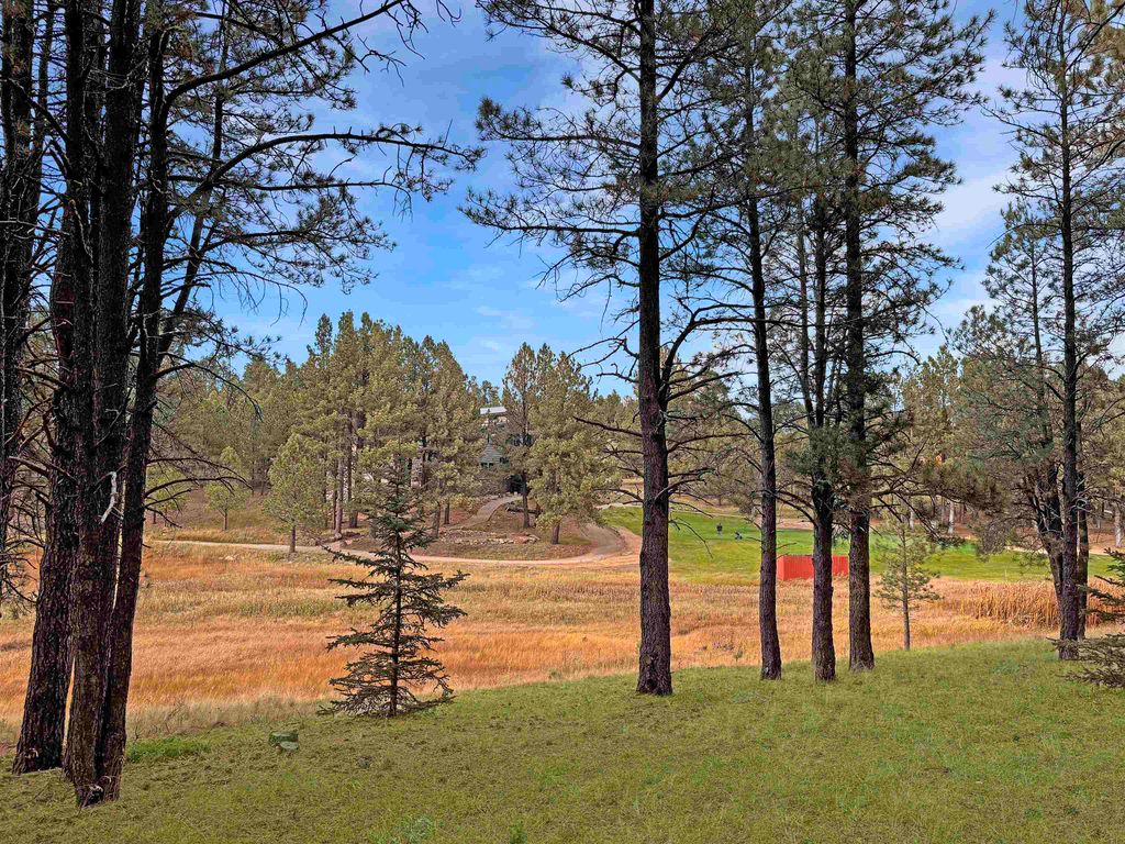 Photo of Lot 1133 Spyglass Hill Rd, Angel Fire, NM 87710 (MLS # 113142)