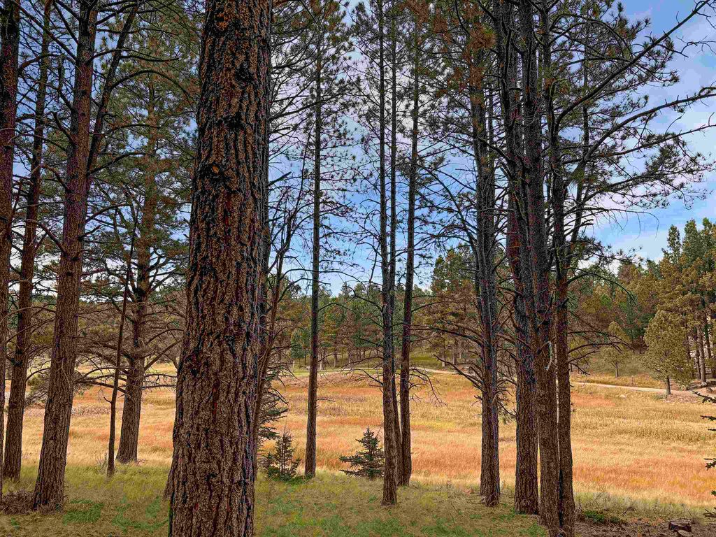 Photo of Lot 1133 Spyglass Hill Rd, Angel Fire, NM 87710 (MLS # 113142)
