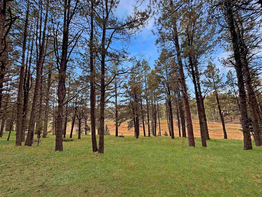 Photo of Lot 1133 Spyglass Hill Rd, Angel Fire, NM 87710 (MLS # 113142)