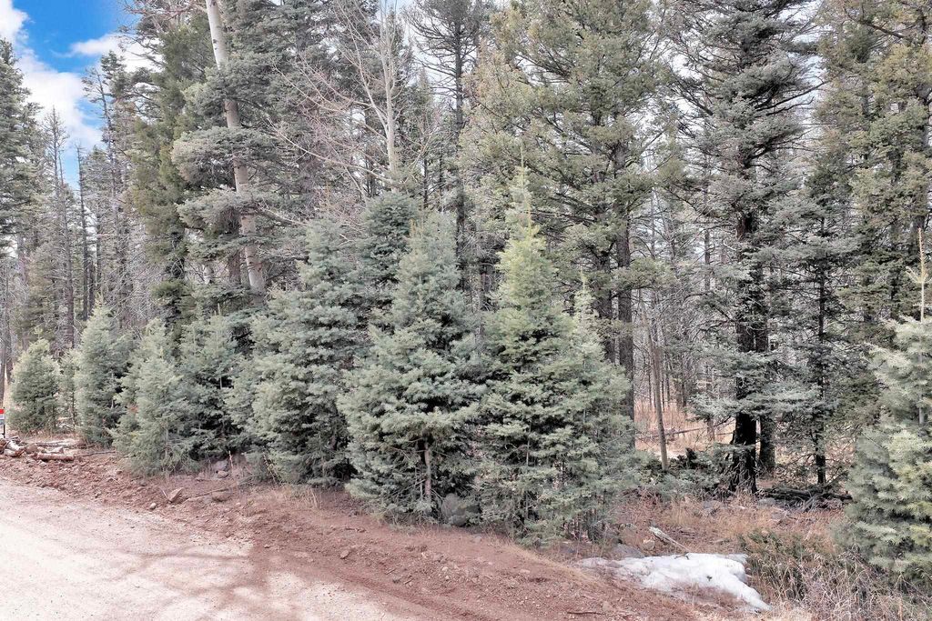 Photo of Lot 1368 Skyview Overlook, Angel Fire, NM 87710 (MLS # 114698)