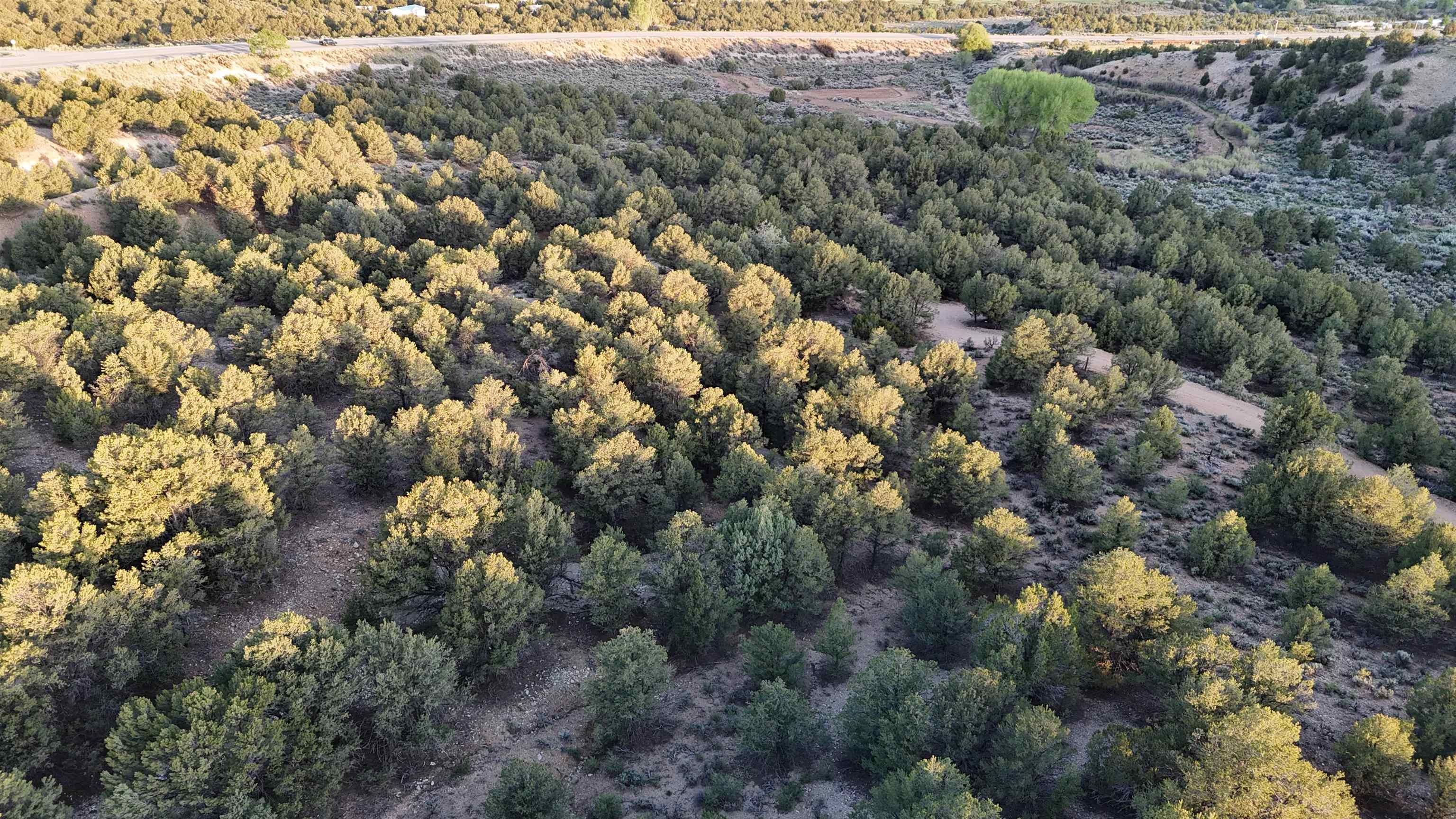 Unk Sandia Canyon Rd, Arroyo Hondo, New Mexico image 7