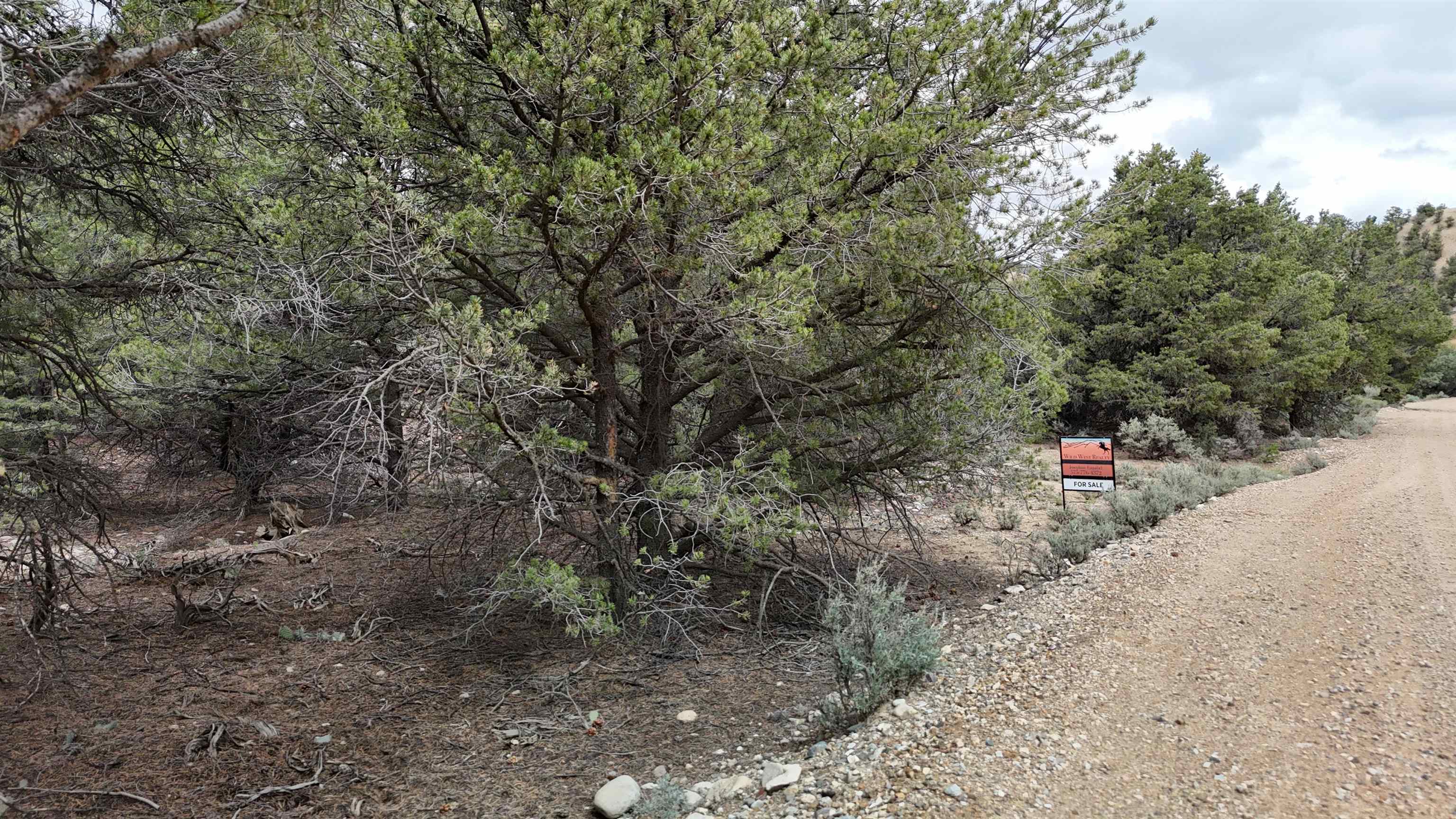 Unk Sandia Canyon Rd, Arroyo Hondo, New Mexico image 15