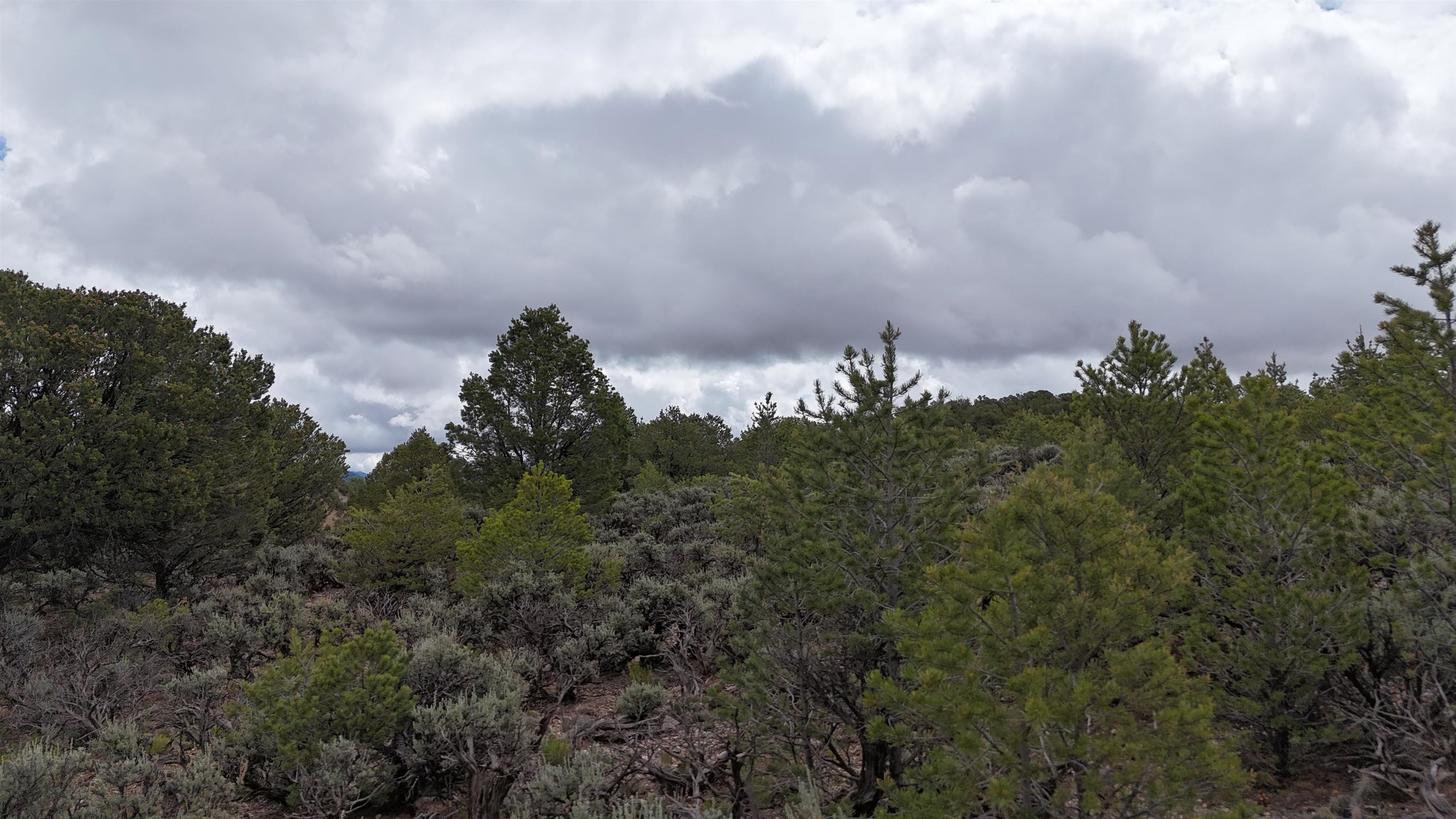 Unk Sandia Canyon Rd, Arroyo Hondo, New Mexico image 18