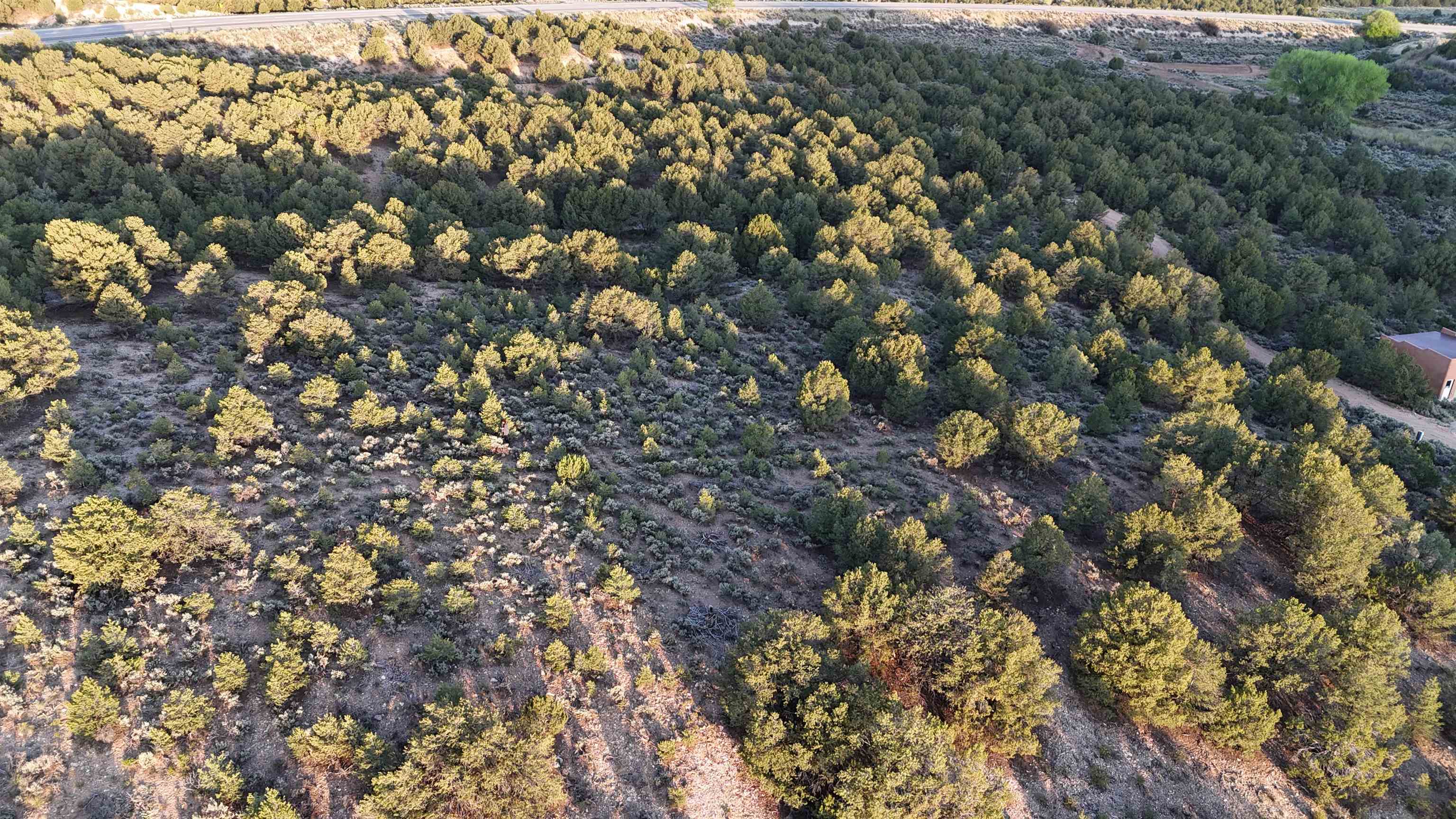 Unk Sandia Canyon Rd, Arroyo Hondo, New Mexico image 10