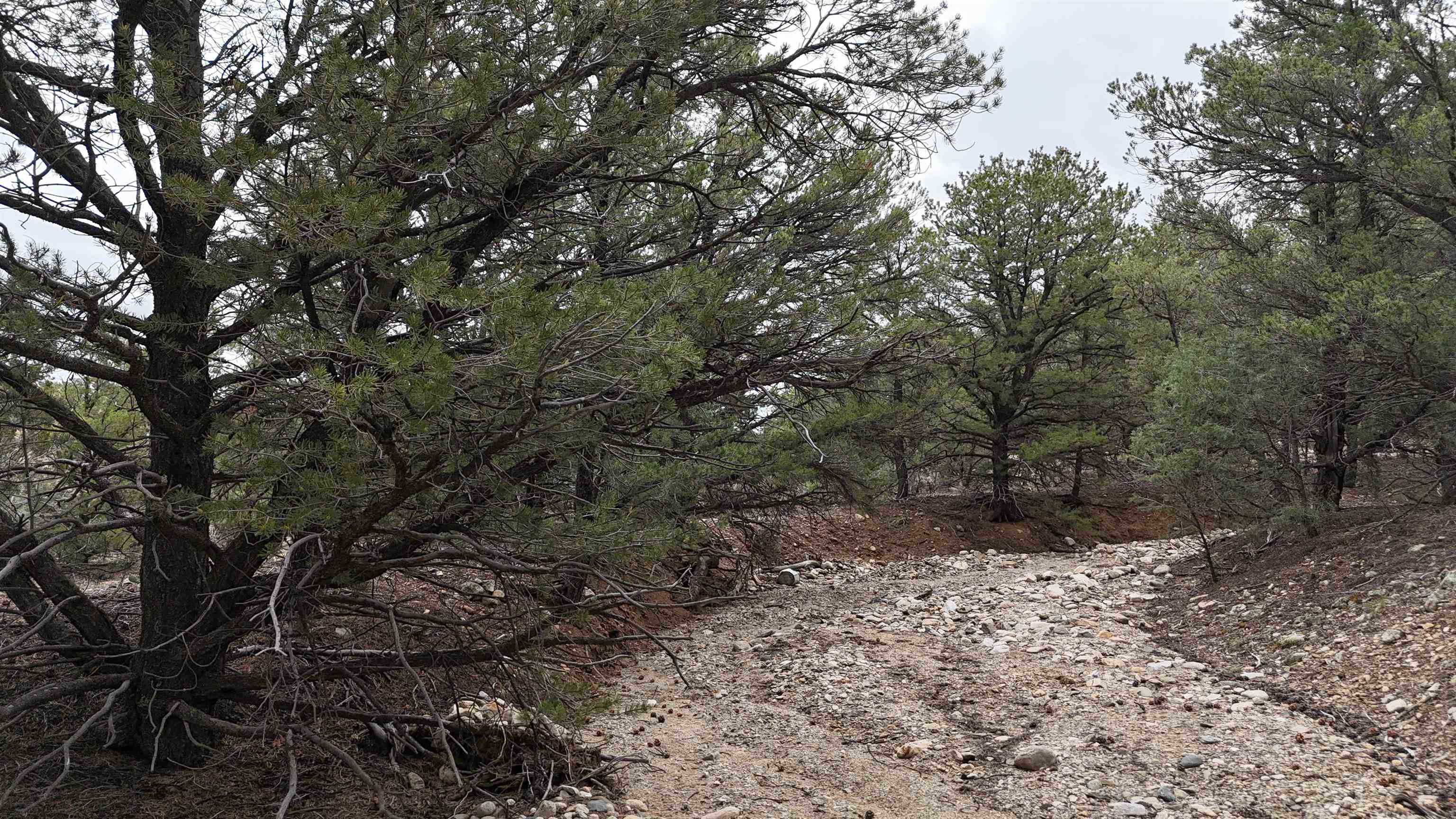Unk Sandia Canyon Rd, Arroyo Hondo, New Mexico image 19
