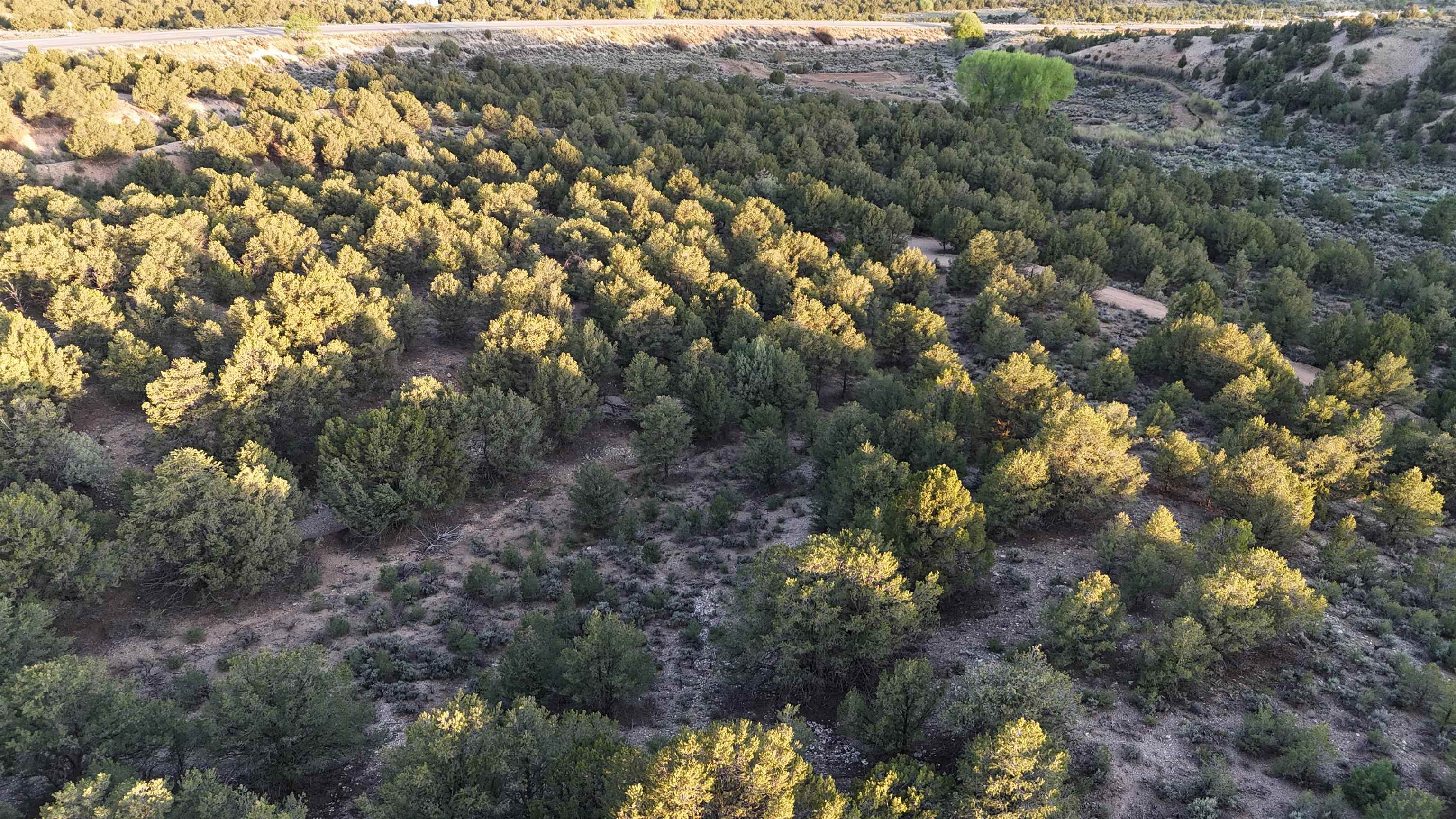 Unk Sandia Canyon Rd, Arroyo Hondo, New Mexico image 8