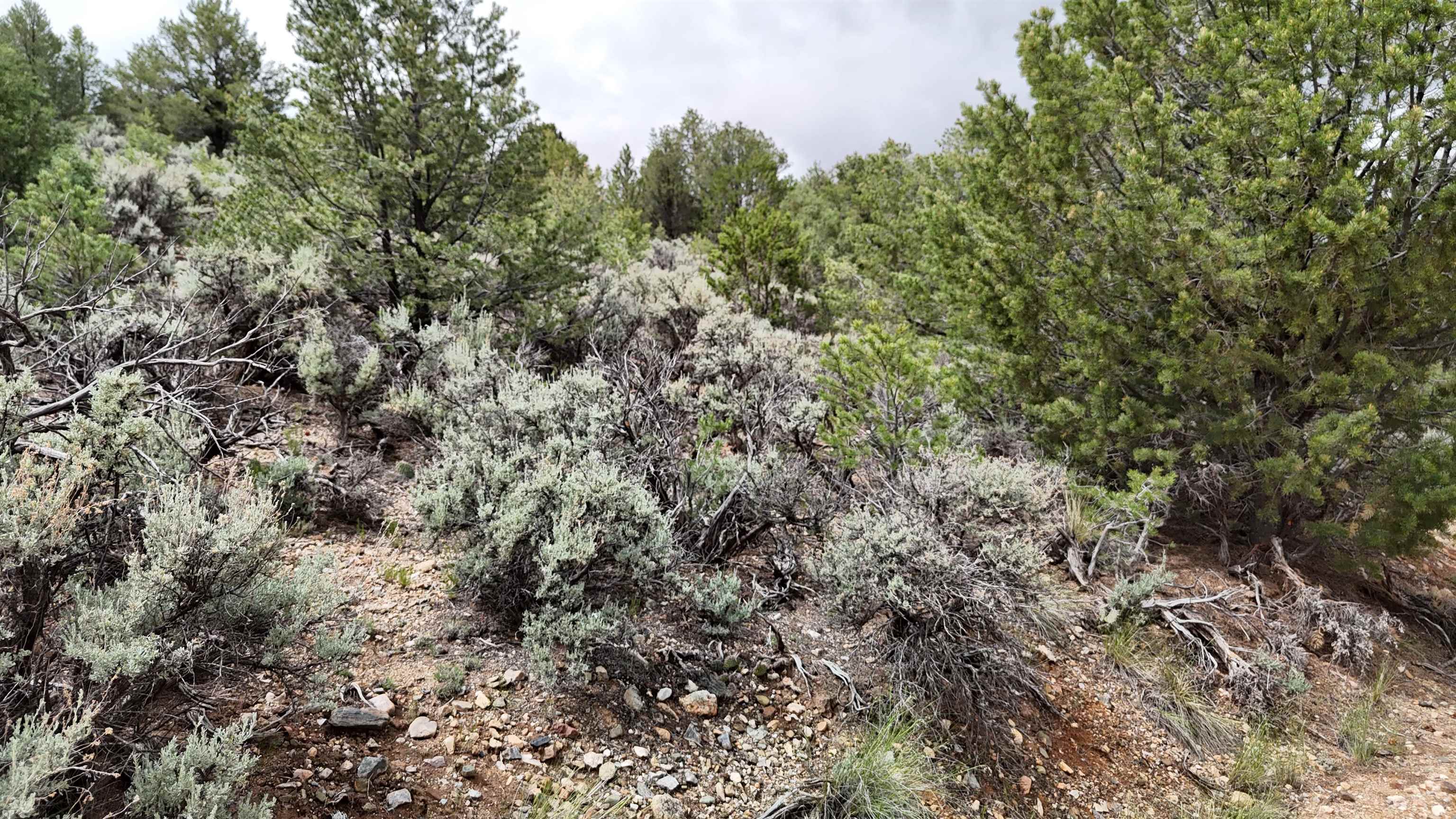 Unk Sandia Canyon Rd, Arroyo Hondo, New Mexico image 34
