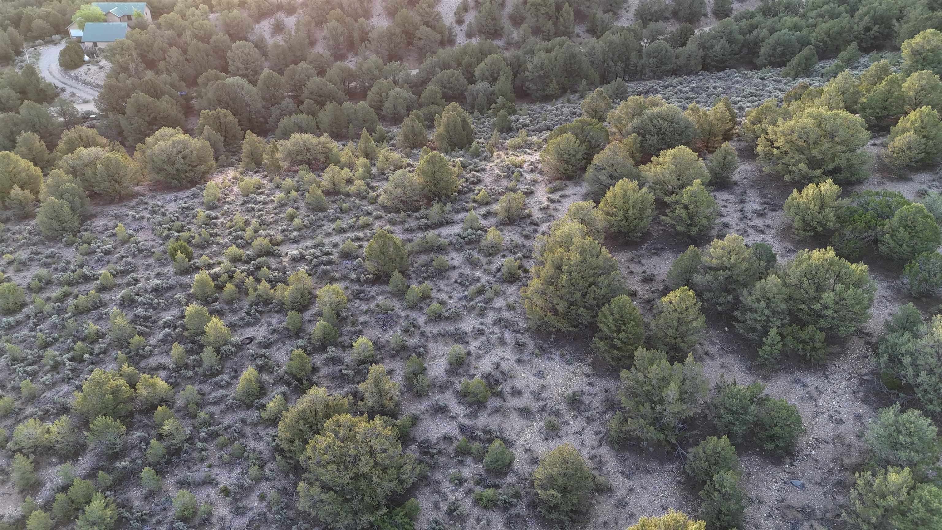 Unk Sandia Canyon Rd, Arroyo Hondo, New Mexico image 11