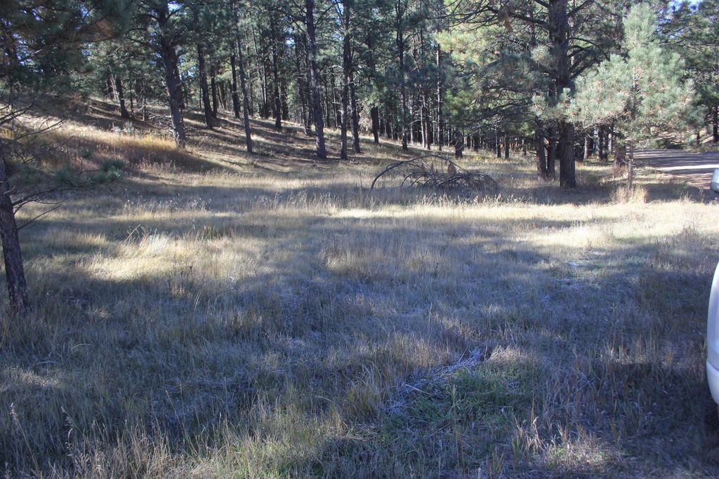 Photo of lot 41 Valley Road, Angel Fire, NM 87710 (MLS # 114183)