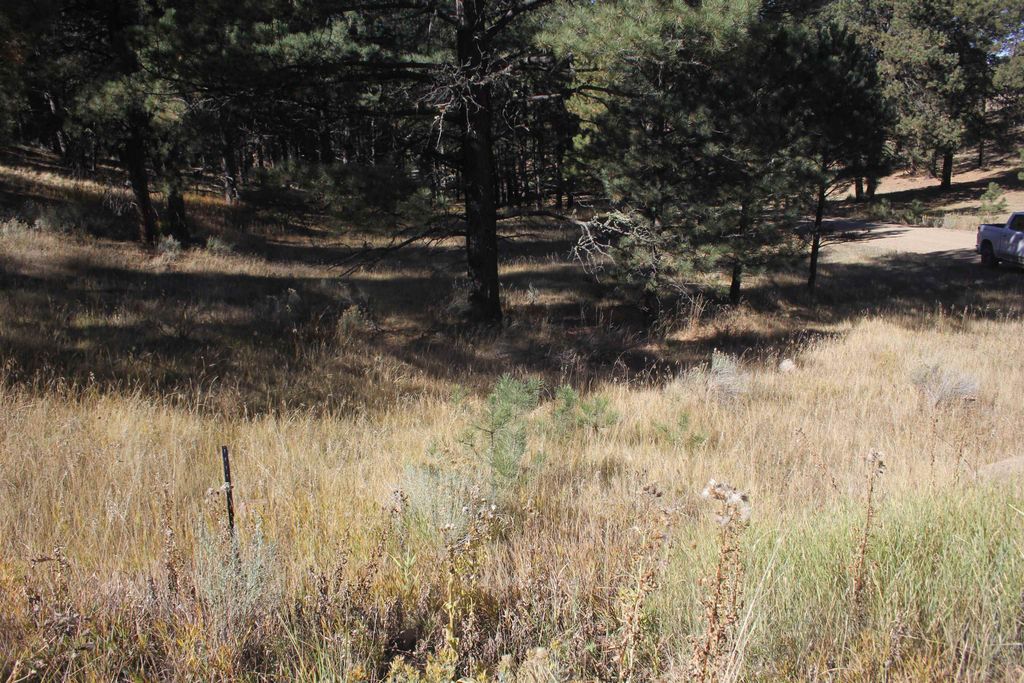 Photo of lot 41 Valley Road, Angel Fire, NM 87710 (MLS # 114183)