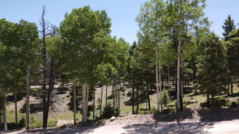 Vacant Land For Sale - LOT 1325 Sierra Blanca Cir<br/> Angel Fire, NM 87710