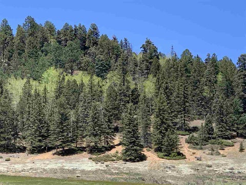 Vacant Land For Sale - Valle Escondido Road<br/> Valle Escondido, NM 87571