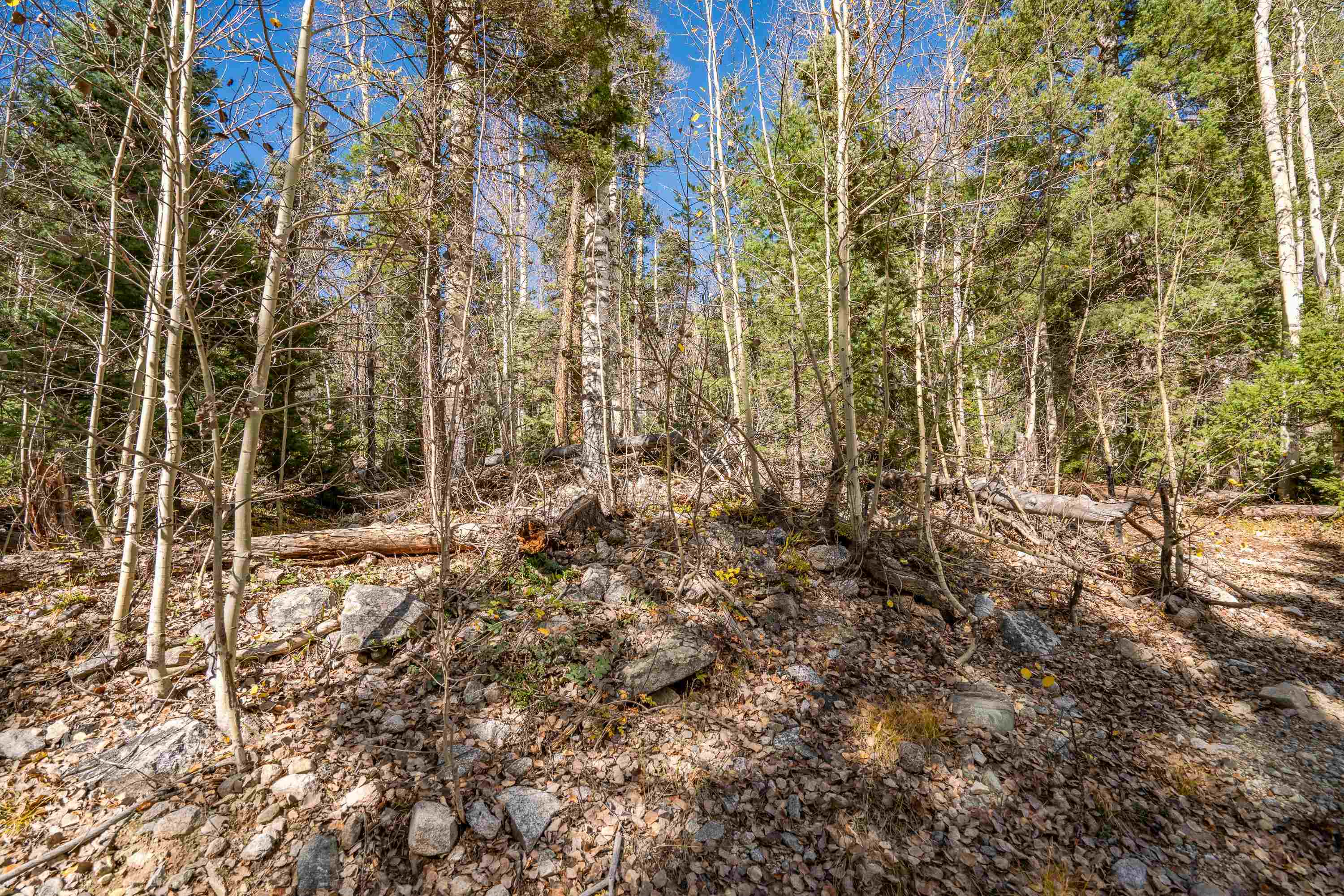 Lot 3 Emma Rd, Taos Ski Valley, New Mexico image 18