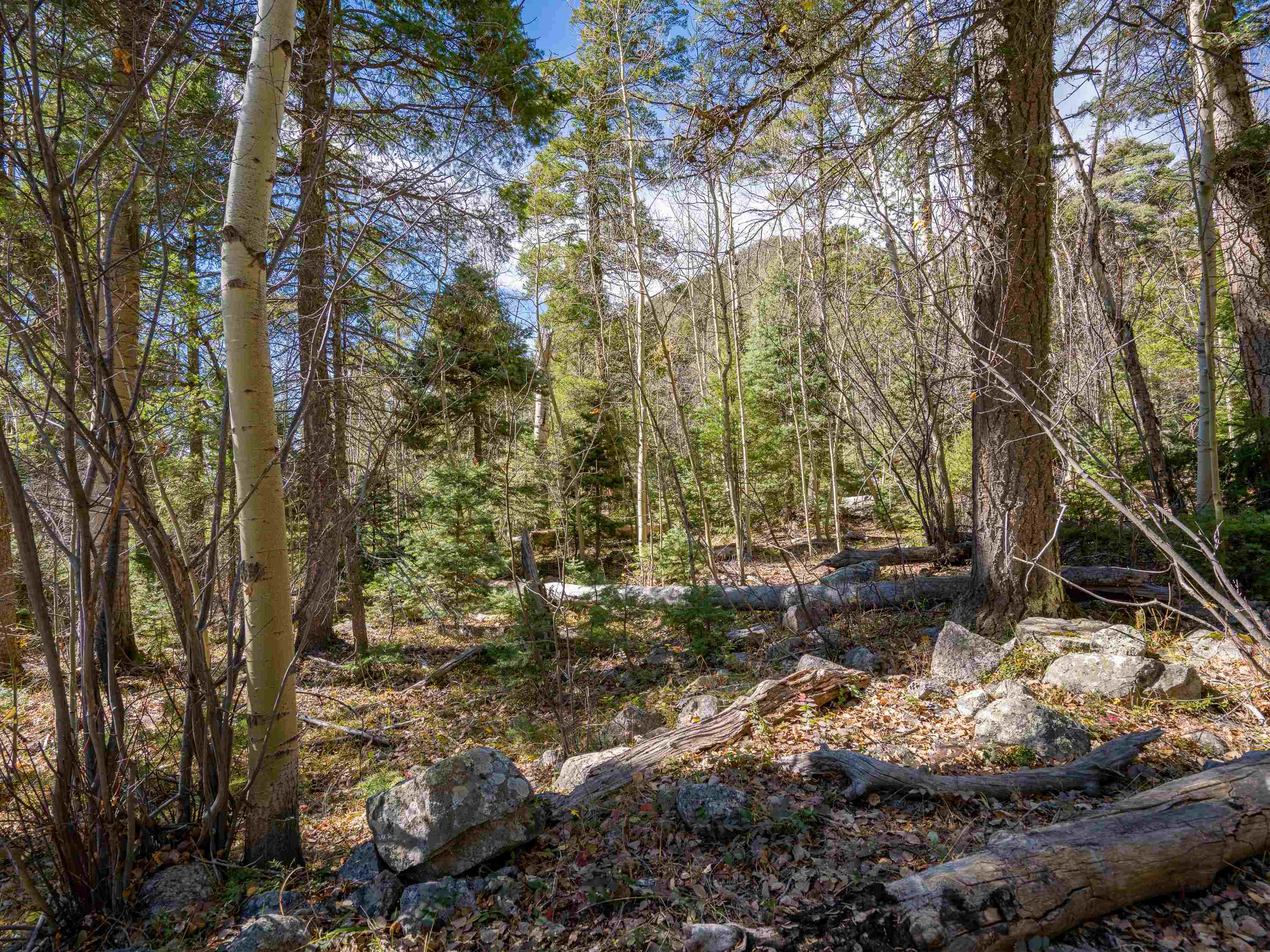 Lot 3 Emma Rd, Taos Ski Valley, New Mexico image 5