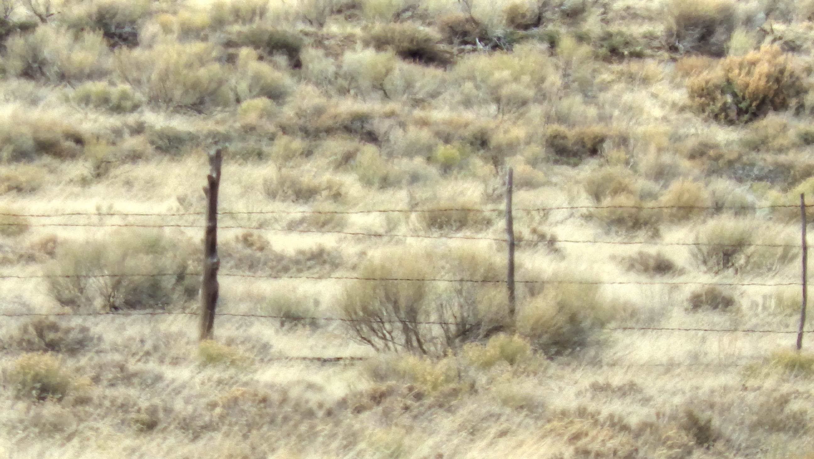 000 Forest Road 118, Tres Piedras, New Mexico image 9