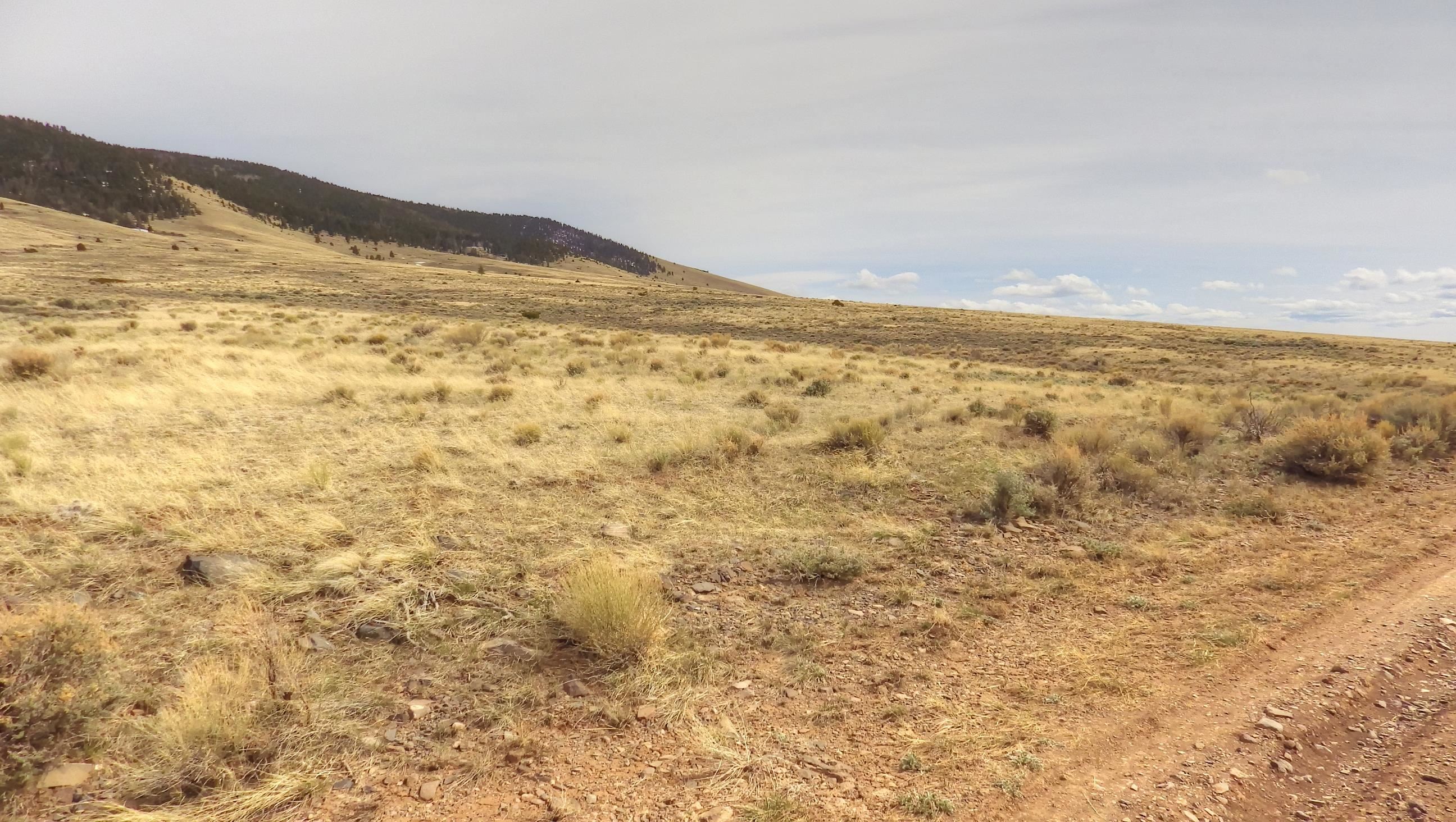 000 Forest Road 118, Tres Piedras, New Mexico image 11