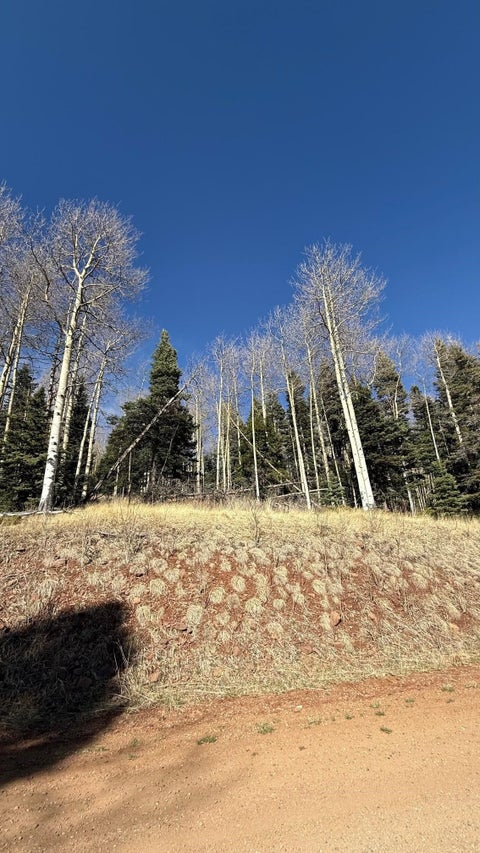 Vacant Land For Sale - 1591 Cascade Overlook<br/> Angel Fire, NM 87710