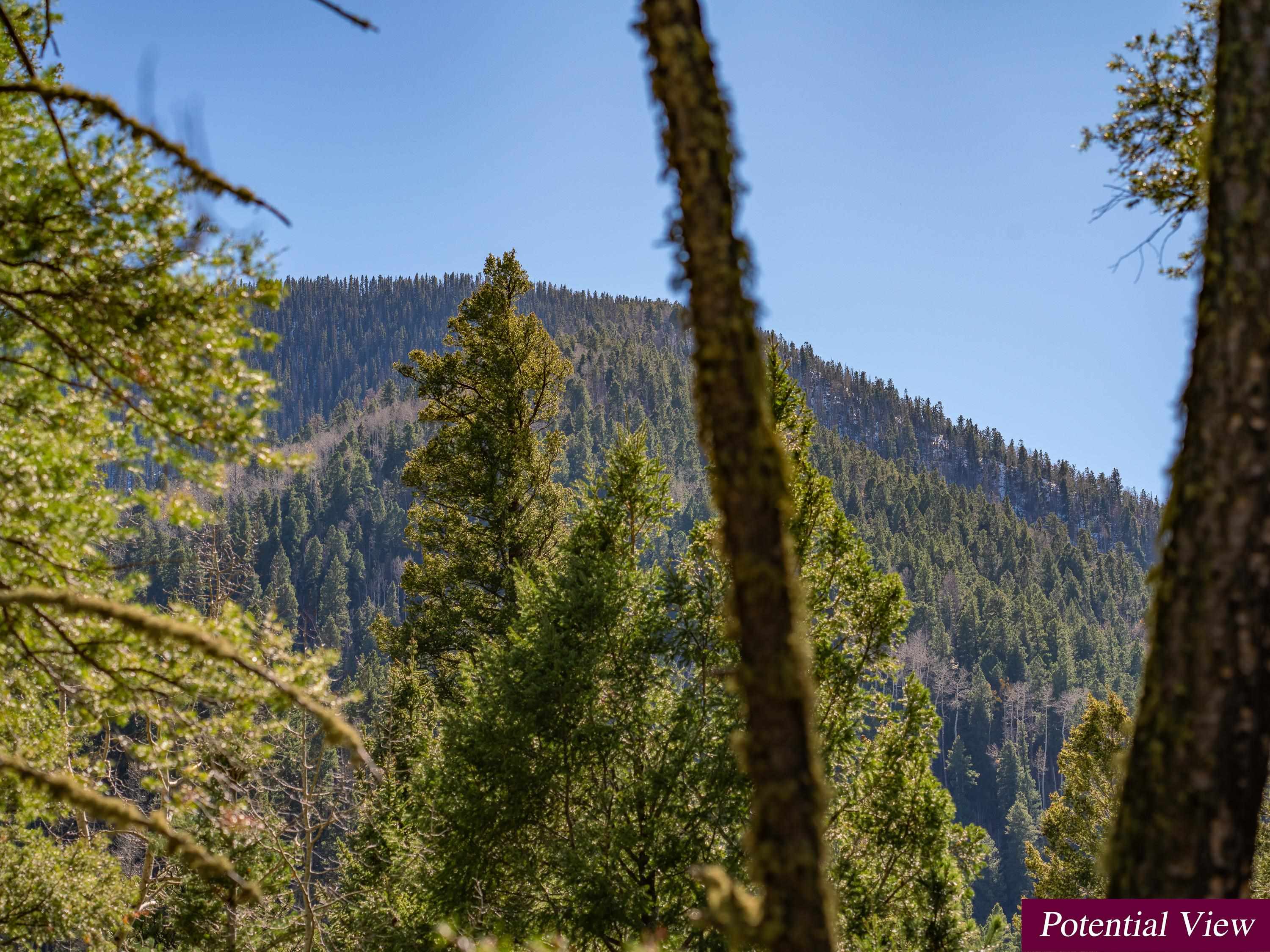 Lot 9 Emma Road, Taos Ski Valley, New Mexico image 2