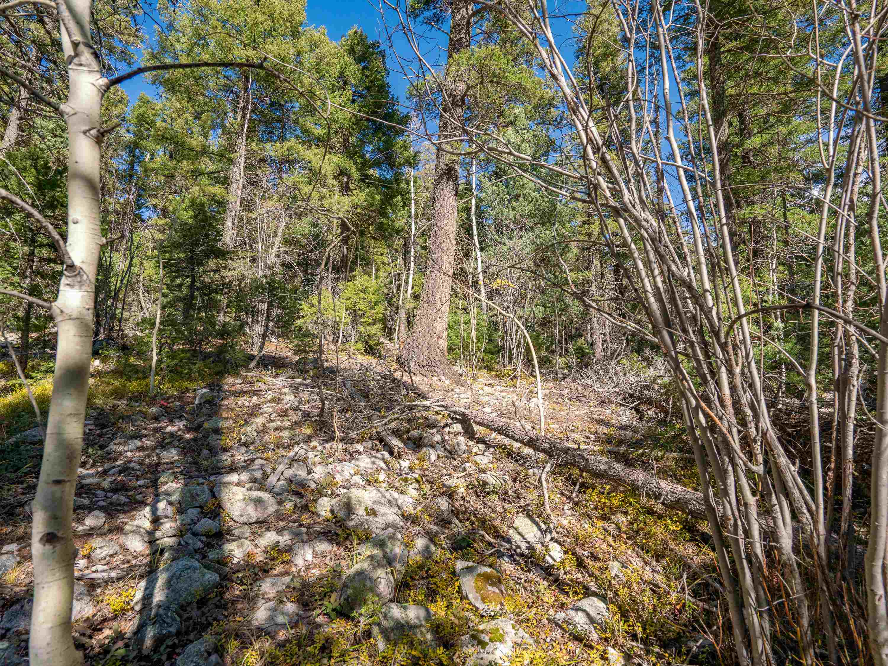 Lot 9 Emma Road, Taos Ski Valley, New Mexico image 4