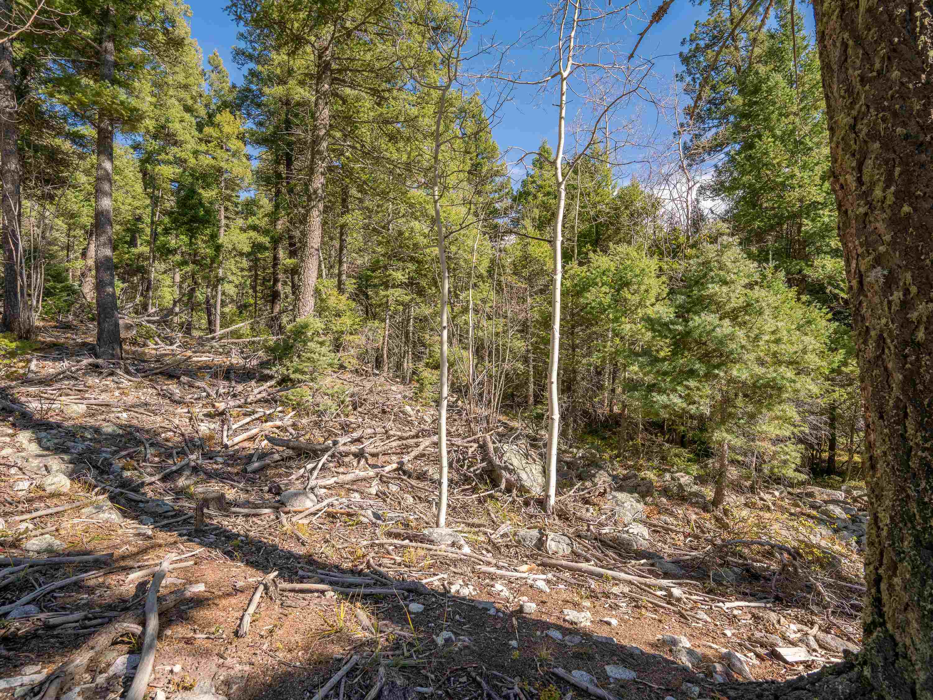 Lot 9 Emma Road, Taos Ski Valley, New Mexico image 11