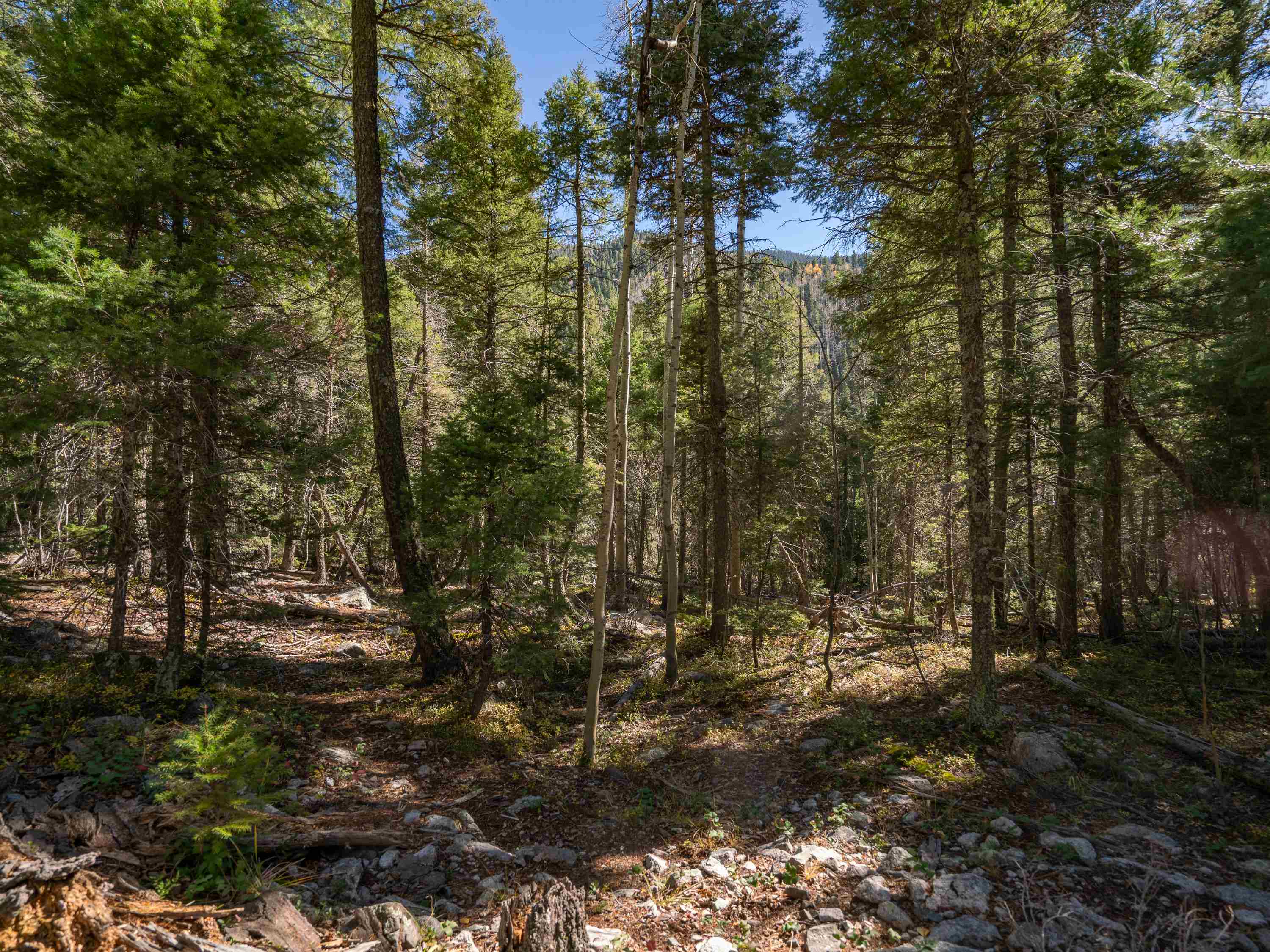 Lot 9 Emma Road, Taos Ski Valley, New Mexico image 20